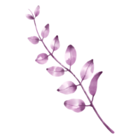 imágenes prediseñadas florales acuarela png