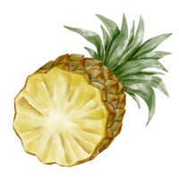 vattenfärg ananas element png