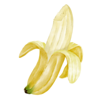 elemento de clip art de plátano acuarela png