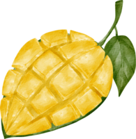Aquarell Mango ClipArt png