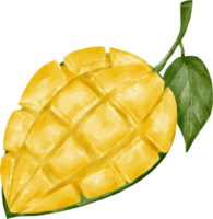 vattenfärg mango klämma konst png