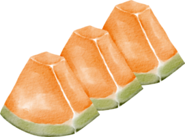 vattenfärg cantaloupmelon klämma konst png