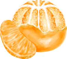 zeste d'orange aquarelle png