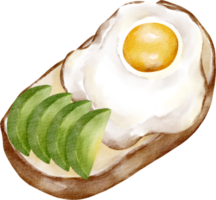 watercolor breakfast fried egg png