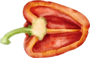 pimiento acuarela png