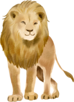 lion watercolor clip art png