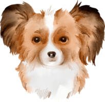 clipart de cachorro em aquarela png