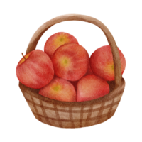 watercolor apples clip art png
