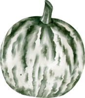 watercolor green pumpkin png