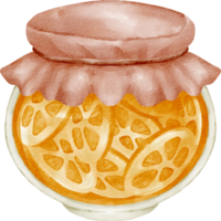 vattenfärg sylt orange png