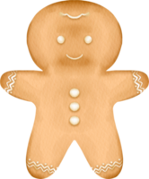 pan de jengibre acuarela png