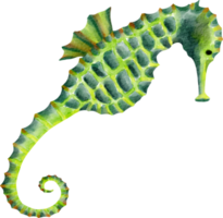 watercolor sea horse png