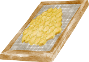 watercolor honey farm element png