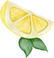 clipart de limão em aquarela png