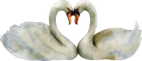 dia de san valentin acuarela png