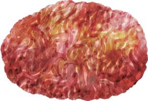 watercolor ground beef png