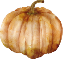 vattenfärg pumpa vegetabiliska png