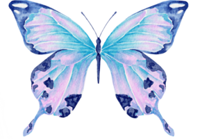 watercolor butterfly blue png