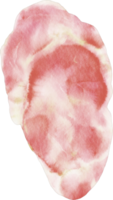 aquarell steakfleisch png