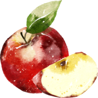 Red apple hand drawn watercolor painting png