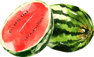 watermelon hand drawn watercolor painting png