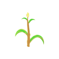 conception de plants de maïs png