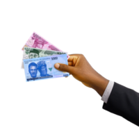 Black hand with suit holding New Nigerian Naira notes isolated on trasparent background, 3d rendering png