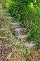 The old concrete stairs hiding in a grass photo