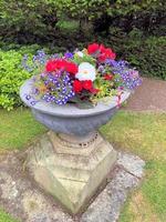 A view of some flowers in a Garden photo