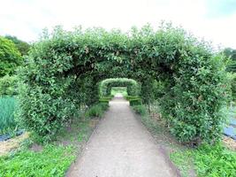 A view of a Garden in Cheshire photo