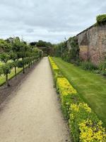 A view of a Garden in Cheshire photo