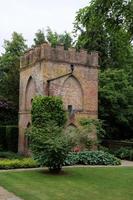 A view of a Garden in Cheshire photo