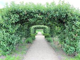 A view of a Garden in Cheshire photo