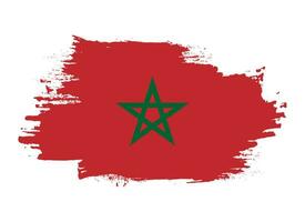 Abstract brush stroke Morocco flag vector