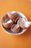 eggshells in a white color bowl on table photo