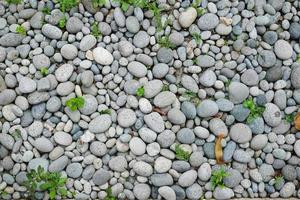 overhead view of Round rock textures photo