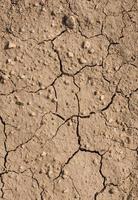 dry cracked earth photo