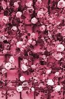 Decoration urban art object from colorful elegant flowers on wall Image toned in Viva Magenta, color of the 2023 year photo