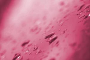 Water drops, rain drops. Image toned in Viva Magenta, color of the 2023 year photo