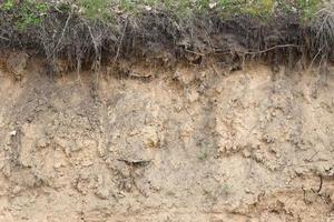 Abrupt bank river showing layers of plants, soil, sand rocks photo