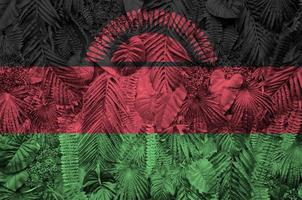 bandera de malawi representada en muchas hojas de palmeras monstera. telón de fondo de moda foto