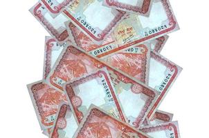 Billetes de 20 rupias nepalíes volando hacia abajo aislados en blanco. muchos billetes cayendo con copyspace blanco en el lado izquierdo y derecho foto