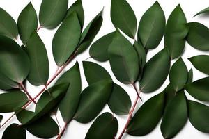 Mockup for a letter or wedding invitation with branches and leaves. Natural light and shade coverage. photo