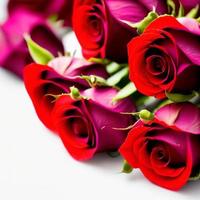 rosa. fondo rosa. ramo de rosas concepto de día de san valentín, boda, año nuevo, navidad y otras fiestas, afiche web, tarjeta de felicitación. foto