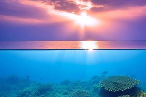 Underwater scene. Ocean coral reef underwater. Sea world under water background. photo