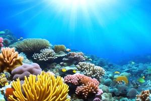 escena submarina. arrecife de coral del océano bajo el agua. mundo marino bajo el fondo del agua. foto