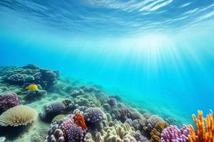 Underwater scene. Ocean coral reef underwater. Sea world under water background. photo