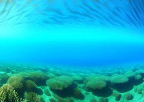 escena submarina. arrecife de coral del océano bajo el agua. mundo marino bajo el fondo del agua. foto