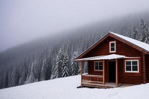 hermoso fondo de invierno con nieve. año nuevo, navidad y otras fiestas, afiche web, tarjeta de felicitación. foto