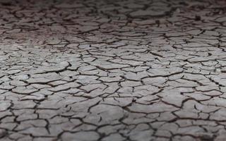 Close up weathered texture of arid cracked ground photo
